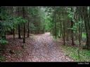 Aparaty cyfrowe: zdj�cia, jaki kupi�, porady : cz. 181 - ewelina_m