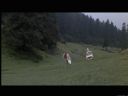 Filmo�ercy - jaki to film? :::klaps 375::: - sparrhawk