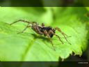 Aparaty cyfrowe: zdj�cia, jaki kupi�, porady : cz. 181 - ewelina_m