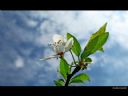 Aparaty cyfrowe: zdj�cia, jaki kupi�, porady : cz. 181 - ewelina_m