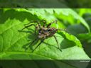 Aparaty cyfrowe: zdj�cia, jaki kupi�, porady : cz. 182 - ewelina_m