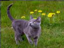 Aparaty cyfrowe: zdj�cia, jaki kupi�, porady : cz. 182 - beowulff