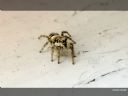 Aparaty cyfrowe: zdj�cia, jaki kupi�, porady : cz. 182 - ewelina_m