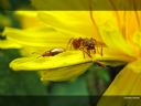 Aparaty cyfrowe: zdj�cia, jaki kupi�, porady : cz. 182 - ewelina_m