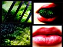 Aparaty cyfrowe: zdj�cia, jaki kupi�, porady : cz. 182 - Ame_