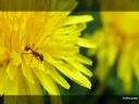 Aparaty cyfrowe: zdj�cia, jaki kupi�, porady : cz. 182 - ewelina_m