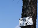 Aparaty cyfrowe: zdj�cia, jaki kupi�, porady : cz. 182 - Levi