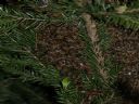 Aparaty cyfrowe: zdj�cia, jaki kupi�, porady : cz. 182 - Levi