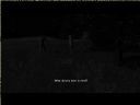 ArmA: Armed Assault [cz�� 29] - T_bone
