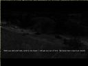 ArmA: Armed Assault [cz�� 29] - T_bone