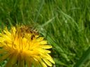 Aparaty cyfrowe: zdj�cia, jaki kupi�, porady : cz. 182 - EspenLund