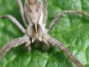 Aparaty cyfrowe: zdj�cia, jaki kupi�, porady : cz. 183 - Gilmar