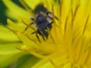 Aparaty cyfrowe: zdj�cia, jaki kupi�, porady : cz. 183 - Gilmar