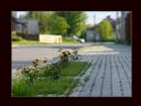 Aparaty cyfrowe: zdj�cia, jaki kupi�, porady : cz. 183 - JerryzzZ^