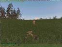 ArmA: Armed Assault [cz�� 29] - T_bone