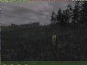 ArmA: Armed Assault [cz�� 29] - T_bone