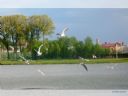 Aparaty cyfrowe: zdj�cia, jaki kupi�, porady : cz. 183 - ewelina_m
