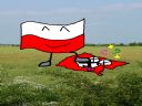 Maa prosba do grafikw. Flaga Polsko - Niemiecka.! - darek_dragon