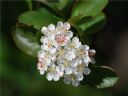 Aparaty cyfrowe: zdj�cia, jaki kupi�, porady : cz. 183 - malyr