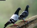 Aparaty cyfrowe: zdj�cia, jaki kupi�, porady : cz. 184 - JerryzzZ^