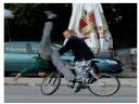 Aparaty cyfrowe: zdj�cia, jaki kupi�, porady : cz. 184 - Kanon