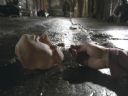 Filmo�ercy - jaki to film? :::klaps 375::: - Yaca Killer