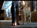 Filmo�ercy - jaki to film? :::klaps 375::: - kaczmen