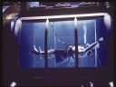 Filmo�ercy - jaki to film? :::klaps 375::: - kurzew