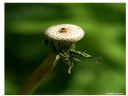 Aparaty cyfrowe: zdj�cia, jaki kupi�, porady : cz. 184 - ewelina_m