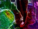 Co o tym s�dzicie? Phostoshop - Feriner