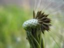 Aparaty cyfrowe: zdj�cia, jaki kupi�, porady : cz. 184 - BeneQ junior