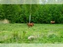 Aparaty cyfrowe: zdj�cia, jaki kupi�, porady : cz. 184 - ewelina_m
