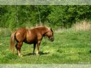 Aparaty cyfrowe: zdj�cia, jaki kupi�, porady : cz. 184 - ewelina_m
