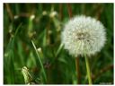 Aparaty cyfrowe: zdj�cia, jaki kupi�, porady : cz. 184 - ewelina_m