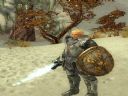 Guild Wars | W�tek Oficjalny | Cz�� 86 - Matt