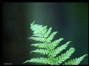 Aparaty cyfrowe: zdj�cia, jaki kupi�, porady : cz. 186 - ewelina_m