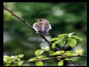 Aparaty cyfrowe: zdj�cia, jaki kupi�, porady : cz. 186 - ewelina_m