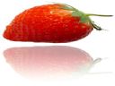 Rezydencja Gry - OnLine |14| W rezydencji nadszed� czas.. - dj_janasek