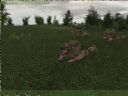 ArmA: Armed Assault [cz�� 31] - T_bone