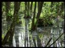 Aparaty cyfrowe: zdj�cia, jaki kupi�, porady : cz. 187 - ewelina_m