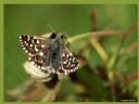 Aparaty cyfrowe: zdj�cia, jaki kupi�, porady : cz. 187 - ewelina_m