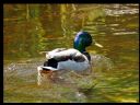 Aparaty cyfrowe: zdj�cia, jaki kupi�, porady : cz. 187 - ewelina_m