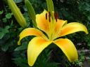 Aparaty cyfrowe: zdj�cia, jaki kupi�, porady : cz. 187 - Skrz@t