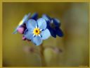 Aparaty cyfrowe: zdj�cia, jaki kupi�, porady : cz. 187 - ewelina_m