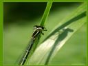 Aparaty cyfrowe: zdj�cia, jaki kupi�, porady : cz. 187 - ewelina_m