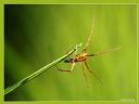 Aparaty cyfrowe: zdj�cia, jaki kupi�, porady : cz. 187 - ewelina_m
