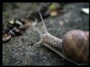 Aparaty cyfrowe: zdj�cia, jaki kupi�, porady : cz. 187 - ewelina_m