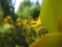Aparaty cyfrowe: zdj�cia, jaki kupi�, porady : cz. 187 - BeneQ junior