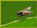 Aparaty cyfrowe: zdj�cia, jaki kupi�, porady : cz. 187 - ewelina_m