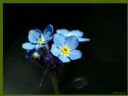 Aparaty cyfrowe: zdj�cia, jaki kupi�, porady : cz. 187 - ewelina_m
